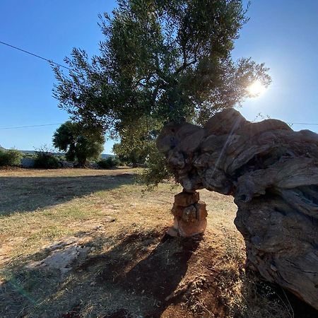 مبيت وإفطار كونفيرسانو Racconti Di Pietra المظهر الخارجي الصورة